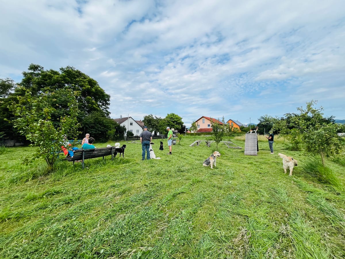 Hunde und Menschen interagieren in einem begleiteten Hundepark