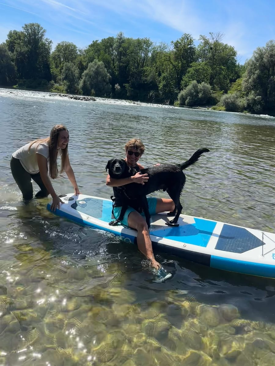 SUP-Einführung mit Hund im flachen Wasser im Markgräflerland