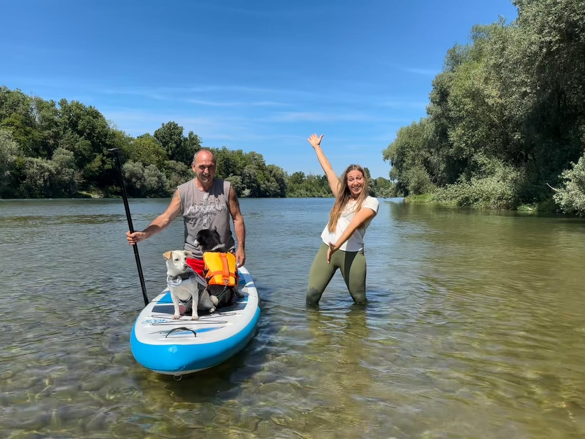 Mensch-Hund-Team balanciert auf einem Paddleboard auf dem Rhein