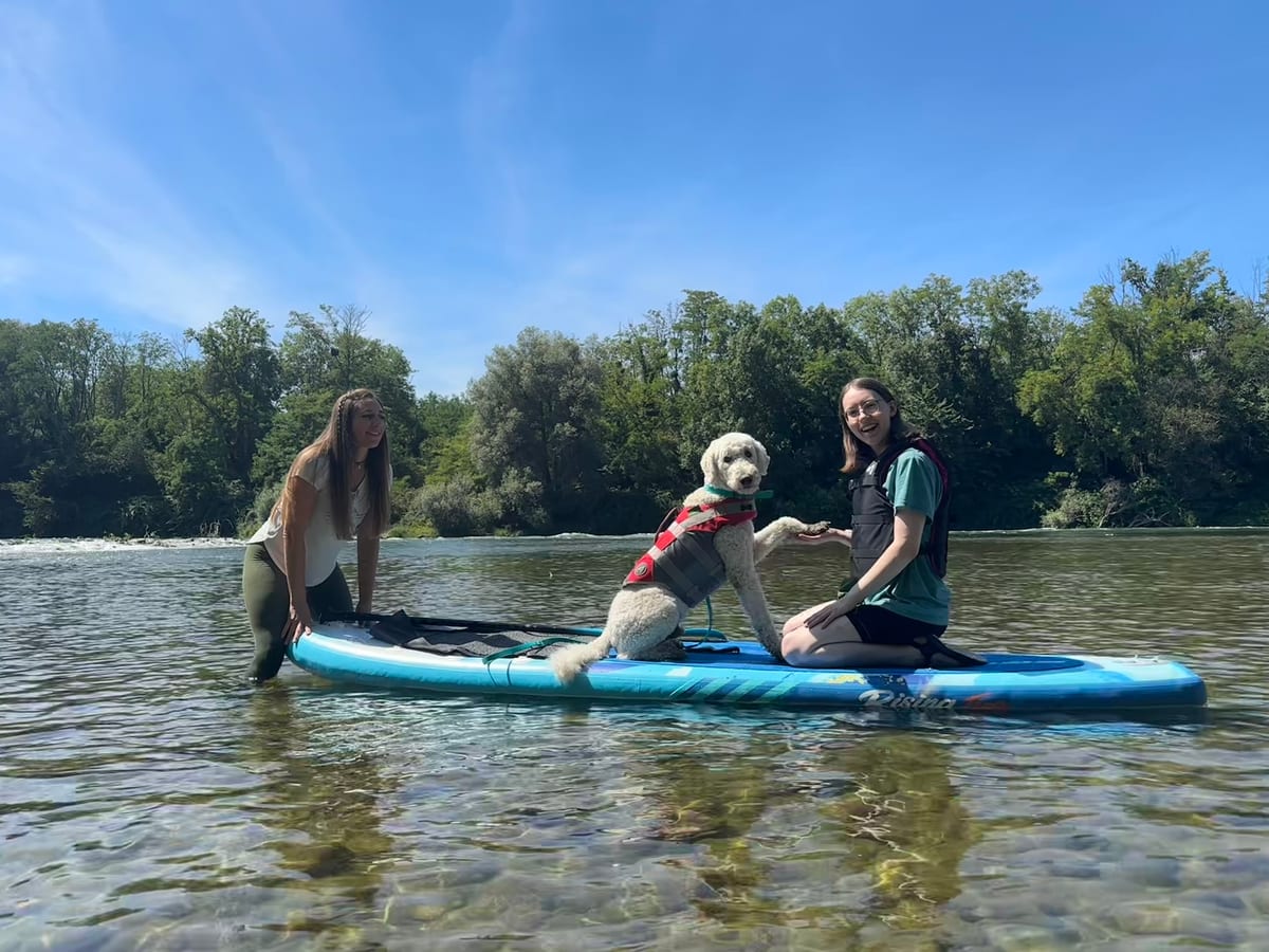Drei Menschen und ein Hund teilen sich ein Paddleboard auf dem Wasser