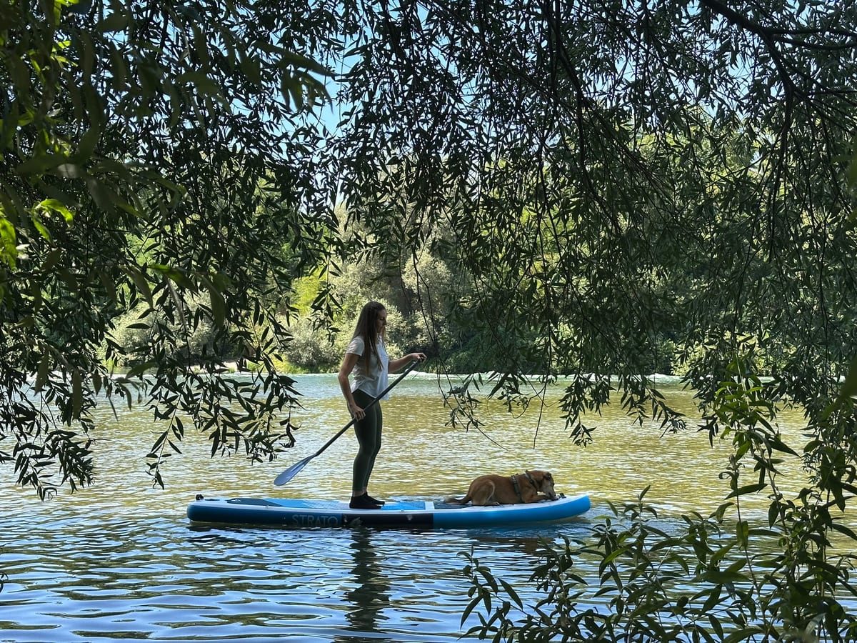 Paddleboard gleitet unter Bäumen am Rheinufer