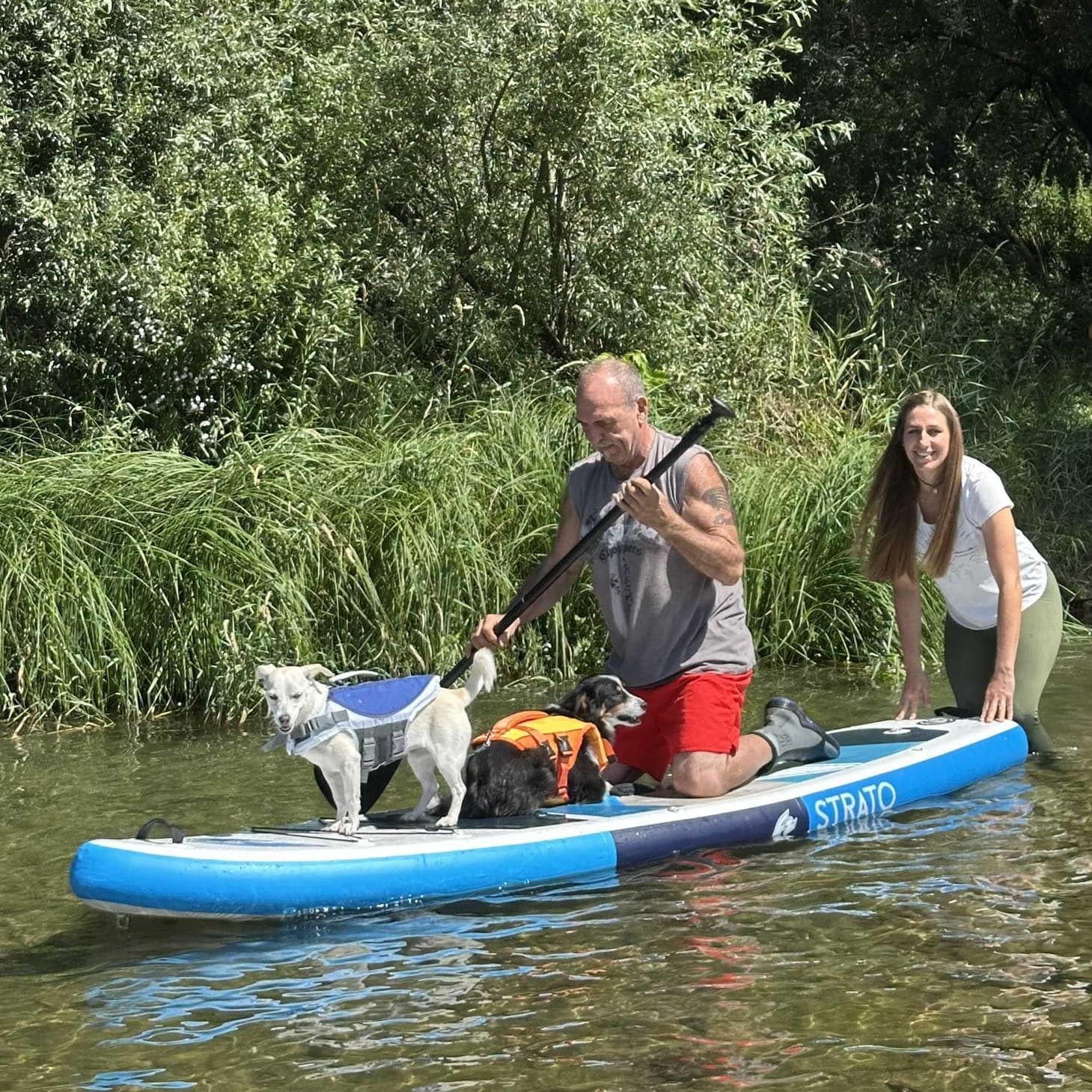 Mensch-Hund-Team balanciert auf einem Paddleboard nahe am Ufer